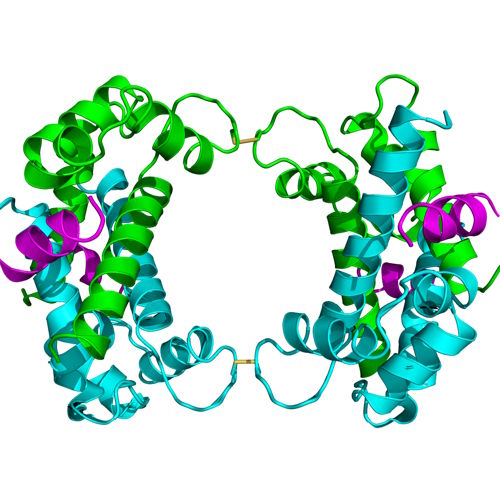 Computational Structural Biology